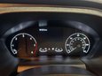 Ford Transit 350 Limited 2.0 EcoBlue L4 22