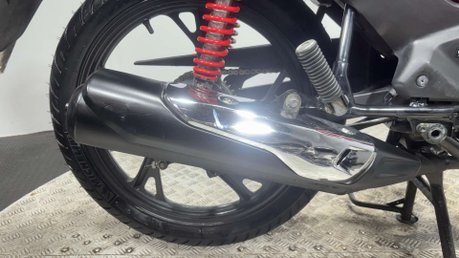 Honda CB 2022 ONLY 8K LONG MOT SERVICED COMMUTER LEARNER BIKE CBF125 125CC 46