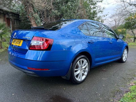 Skoda Octavia SE L TSI DSG 18