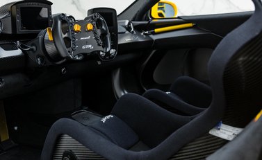 McLaren Senna GTR LM 13