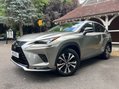 Lexus NX 300H 18
