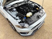 Ford Mustang MACH 1 63
