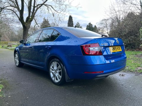Skoda Octavia SE L TSI DSG 21