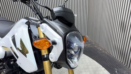 Honda MSX125 2015 ONLY 8K VERY CLEAN MINI MONKEY BIKE 125CC 16