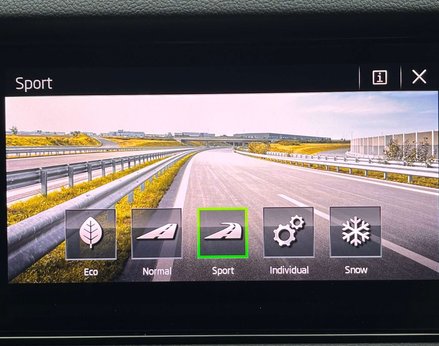 Skoda Kodiaq 2.0 Kodiaq SE L TSi 4x4 Semi-Auto 4WD 5dr 46