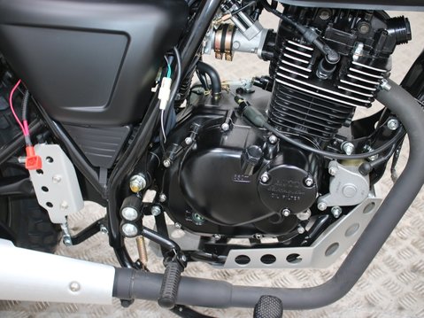 Mutt Akita 125 Pre-registered 20