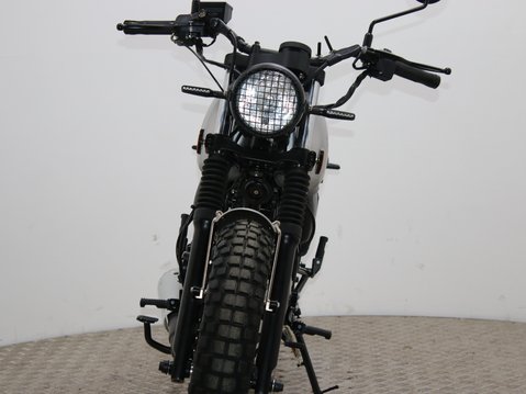 Mutt Akita 125 Pre-registered 10