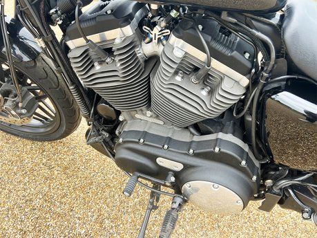 Harley-Davidson Sportster Iron XL 1200 CX ROADSTER 17 14