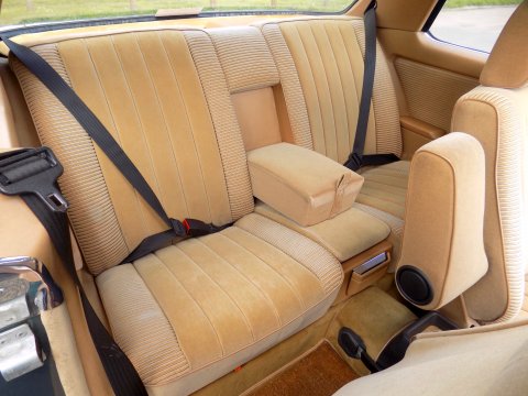 Mercedes-Benz W123 230 CE Pillarless Coupe 9