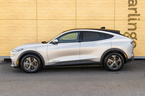 Ford Mustang Mach-E BASE 15