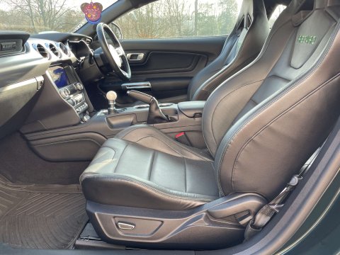 Ford Mustang 5.0 Mustang Bullitt 2dr 14