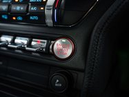 Ford Mustang 5.0 Mustang Bullitt 2dr 41