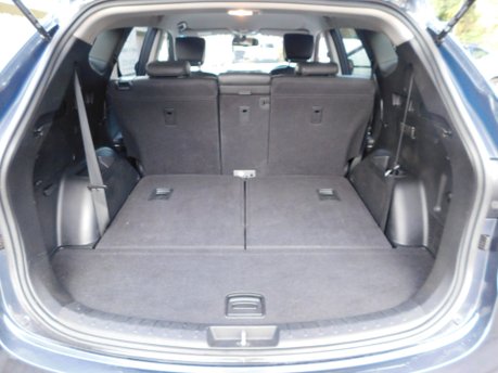 Hyundai SANTA FE 2.2 CRDI PREMIUM BLUE DRIVE 7 SEAT 5dr 20