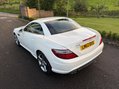 Mercedes-Benz SLK SLK250 AMG SPORT CDi 9