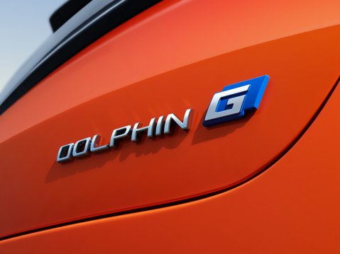Dolphin G DM-i 18