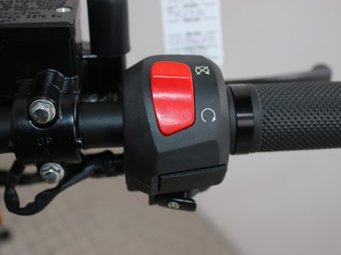 Mutt Akita 125 Pre-registered 17