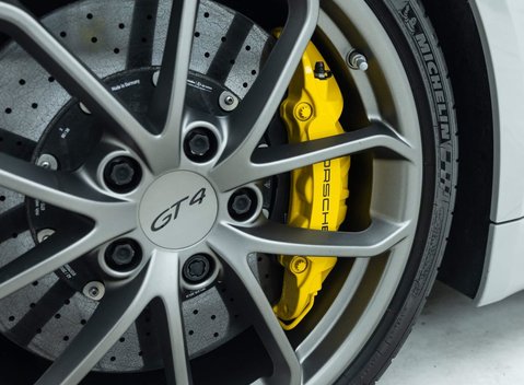 Porsche Cayman GT4 (718) 32