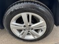 Volkswagen Polo MATCH 50