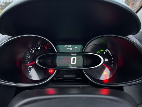 Renault Clio 1.5 Clio Iconic dCi 5dr 21