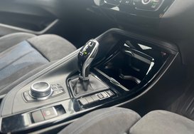 BMW X2 SDRIVE18D 2.0 M SPORT AUTO 19