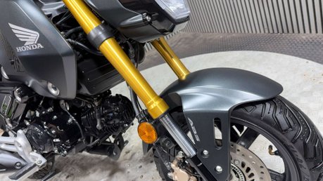 Honda MSX125 GROM 125 2022 5 SPEED 6K MOT OCTOBER 2027 125CC MINI BIKE 36