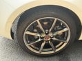 Mazda MX-5 2.0 MX-5 100th Anniversary Edition 2dr 63