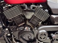 Harley-Davidson Street 750 XG 2019 69 PLATE STUNNING BIKE PANNIERS NEW MOT A2 27