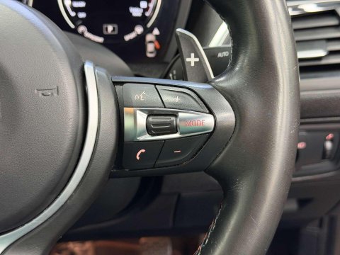 BMW M2 3.0 BiTurbo Competition Coupe 2dr Petrol DCT Euro 6 (s/s) (410 ps) 29