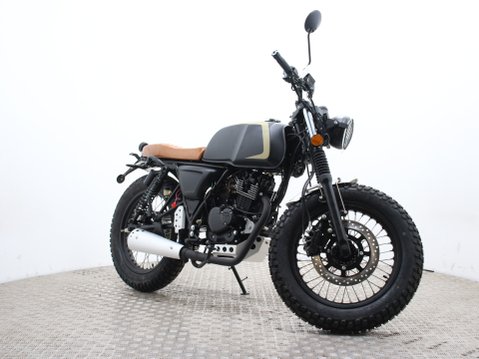 Mutt Akita 125 Pre-registered 11