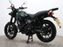 Royal Enfield HNTR HNTR 350 E5+ 33