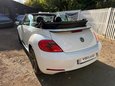Volkswagen Beetle SPORT TDI BLUEMOTION TECHNOLOGY DSG 56