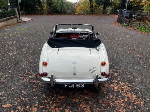 Austin Healey 3000 3
