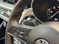 Alfa Romeo Stelvio 2.1 Stelvio Speciale TD AWD Auto 4WD 5dr 30