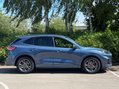 Ford Kuga 1.5 EcoBlue ST-Line Edition SUV 5dr Diesel Manual Euro 6 (s/s) (120 ps) 10