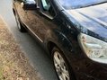 Ford Galaxy 2.0 Galaxy Titanium TDCi 5dr 54