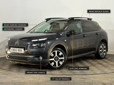 Citroen C4 Cactus BLUEHDI FLAIR 3