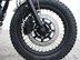 Mutt Akita 125 Pre-registered 23