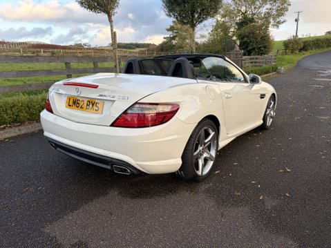 Mercedes-Benz SLK SLK250 AMG SPORT CDi 12