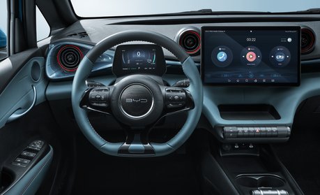 BYD Dolphin's Centre Console