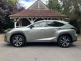 Lexus NX 300H 20