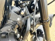 Harley-Davidson Sportster Iron XL 1200 CX ROADSTER 17 19