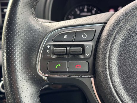 Kia Sportage 1.6 Sportage GT-Line 4WD 5dr 43