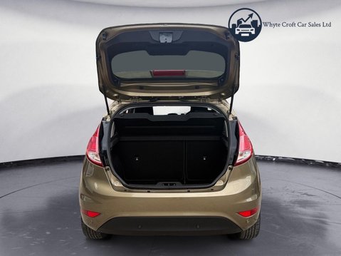 Ford Fiesta 1.0T EcoBoost Titanium Euro 5 (s/s) 5dr 25