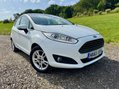Ford Fiesta ZETEC 10