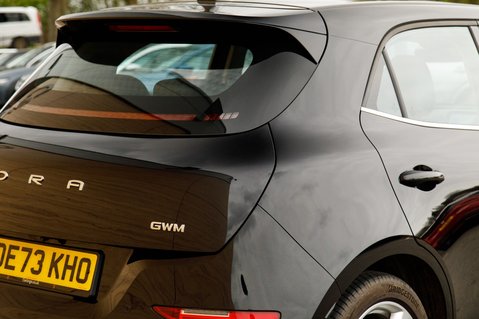 GWM Ora Funky Cat FIRST EDITION 10