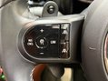 Mini Countryman JOHN COOPER WORKS ALL4 42