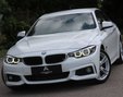 BMW 4 Series 2.0 420d M Sport Hatchback 5dr Diesel Auto Euro 6 (s/s) (190 ps)