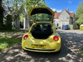 Volkswagen Beetle LUNA 8V 17