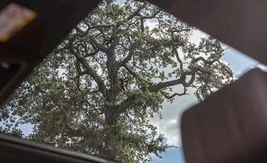 Land Rover Range Rover 3.0 TDV6 Vogue 17