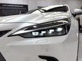 Lexus NX 450H PLUS TAKUMI Pan Roof + Mark Levinson Sound 12